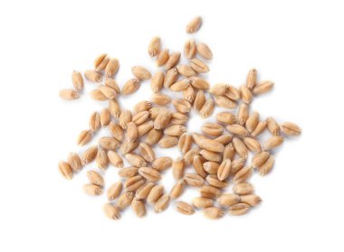 Pile of wheat grains on white background, top view