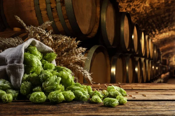 Frischer Hopfen Und Weizenspitzen Auf Holztisch Bierkeller — Stockfoto