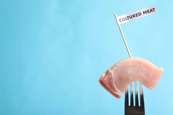 Sample of lab grown pork labeled Cultured Meat on fork against light blue background. Space for text