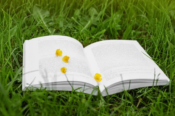 Open book with flowers on green grass outdoors