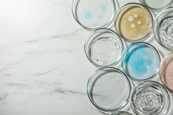 Petrischalen Met Vloeistoffen Witte Marmeren Tafel Plat Gelegd Ruimte Voor — Stockfoto