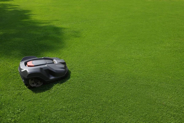 Modern Robot Lawn Mower Green Grass Garden Royaltyfria Stockfoton