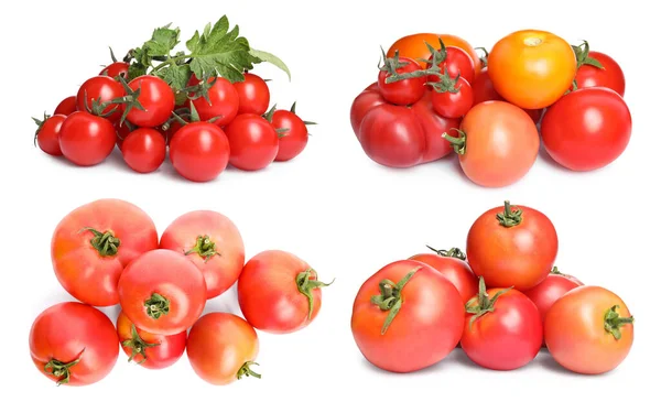 Set Mit Verschiedenen Haufen Reife Tomaten Auf Weißem Hintergrund — Stockfoto