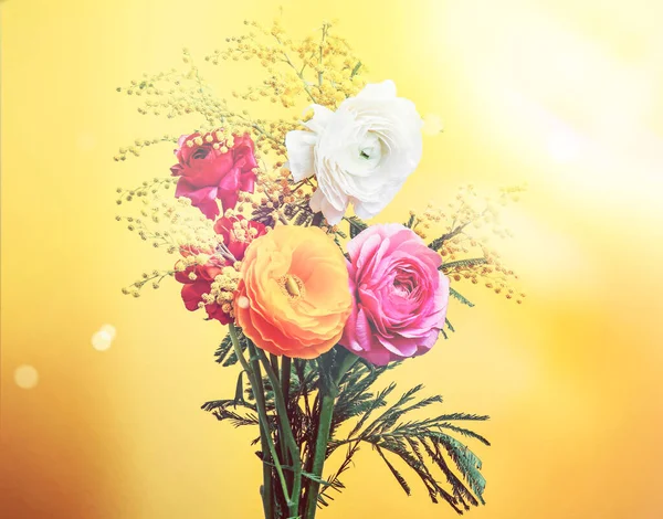 Όμορφη Ranunculus Και Μιμόζα Λουλούδια Στο Χρώμα Φόντου — Φωτογραφία Αρχείου