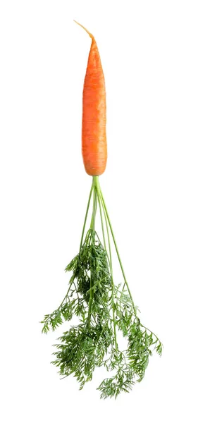 Tasty Ripe Organic Carrot Isolated White — Zdjęcie stockowe