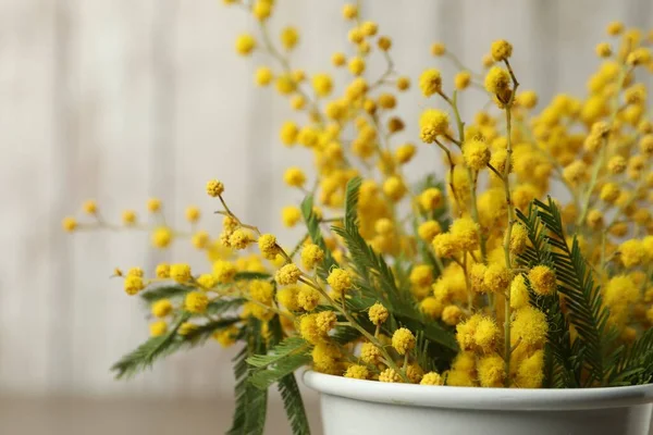 Bukett Med Vackra Mimosa Blommor Ljus Bakgrund Närbild — Stockfoto