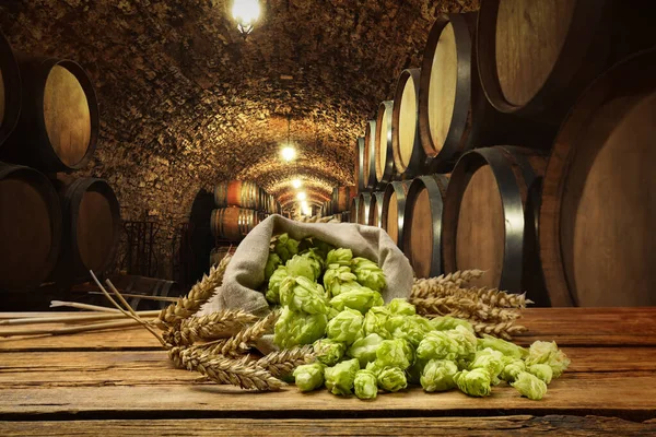 Frischer Hopfen Und Weizenspitzen Auf Holztisch Bierkeller — Stockfoto