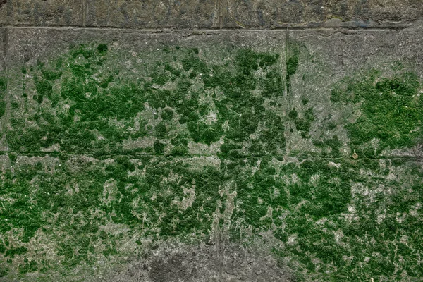 Parede Pedra Com Musgo Verde Como Fundo Close — Fotografia de Stock