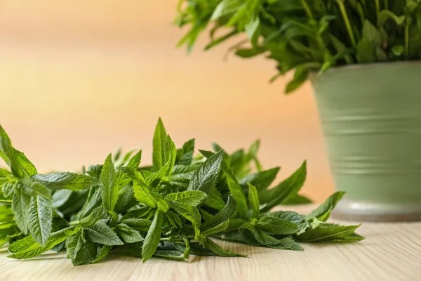 Vacker Grön Mynta Vitt Träbord Närbild — Stockfoto