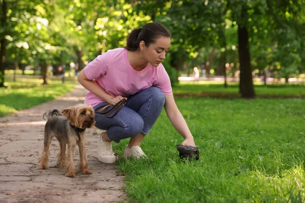 Woman Picking Her Dog Poop Green Grass Park — Stock Photo, Image