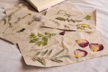 Sheets of paper with dried flowers and leaves on white fabric, closeup