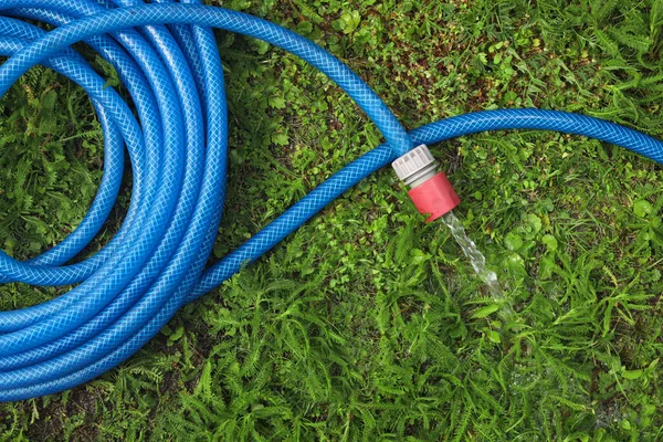 Vatten Som Rinner Från Slangen Grönt Gräs Utomhus Ovanifrån — Stockfoto