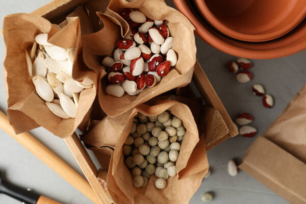 Different vegetable seeds on light grey table, flat lay