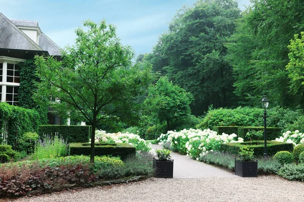 Lovely Garden Blooming Plants Paved Pathway Landscape Design — Stock fotografie