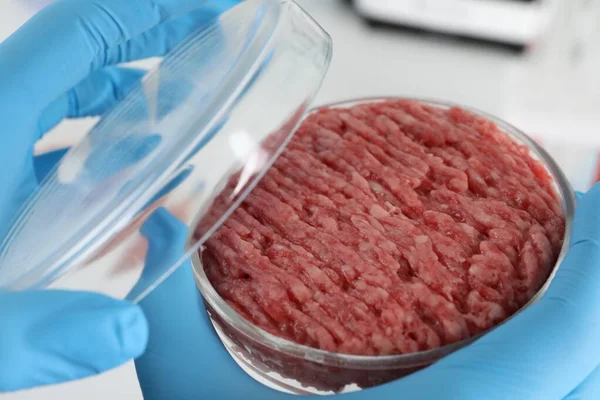 Bilim Adamı Petri Kabını Çiğ Kıymalı Ile Tutuyor Yakın Plan — Stok fotoğraf