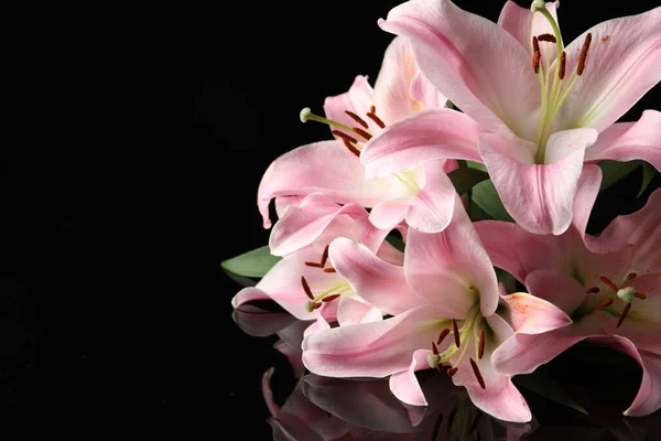 Piękne Różowe Kwiaty Lilii Czarnym Tle Miejsce Tekst — Zdjęcie stockowe