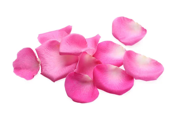 Many Pink Rose Petals White Background — Foto de Stock