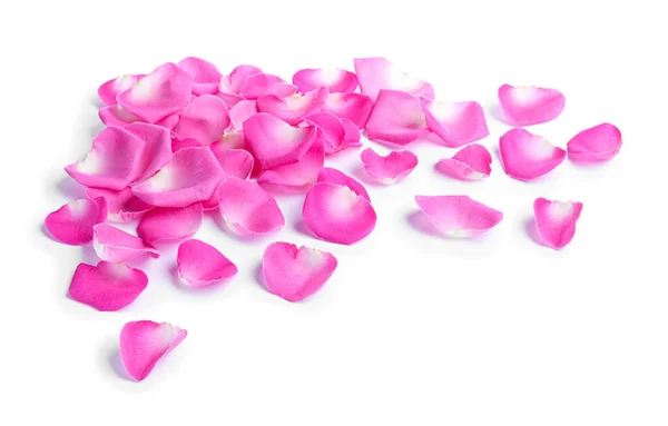 Many Pink Rose Petals White Background — 图库照片