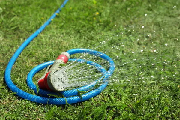 Water spraying from hose on green grass outdoors