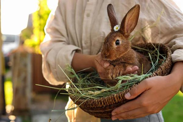 Vrouw Met Schattig Konijn Buiten Zonnige Dag Close — Stockfoto