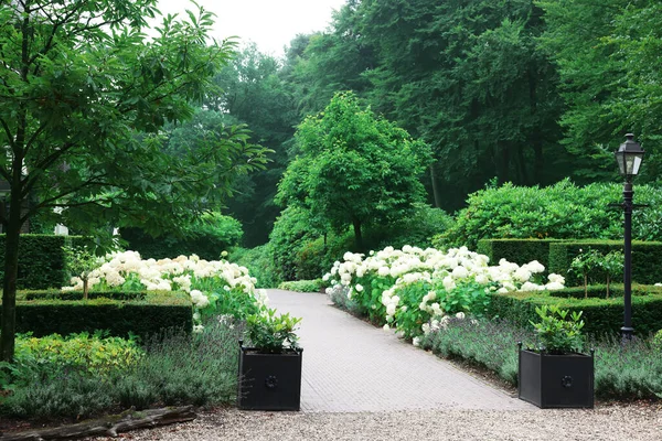 Lovely Garden Blooming Plants Paved Pathway Landscape Design — Stock Photo, Image