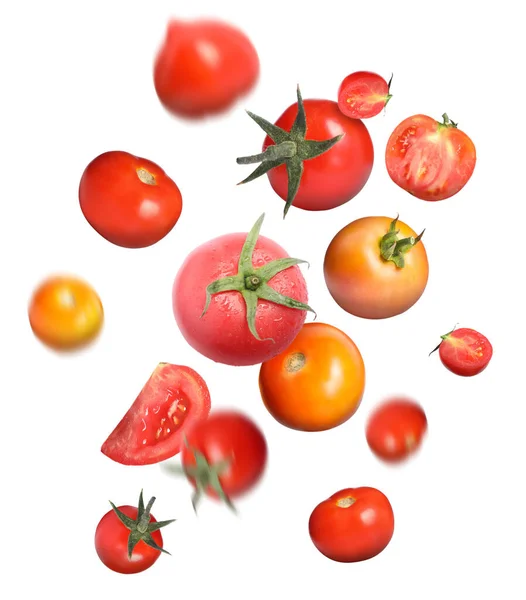 Différentes Tomates Mûres Volent Sur Fond Blanc — Photo