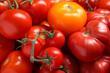 Many different ripe tomatoes as background, closeup