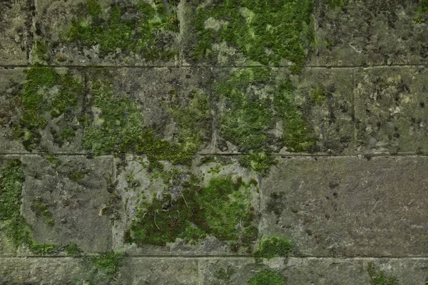 Каменная Стена Зеленым Мхом Качестве Фона Крупным Планом — стоковое фото