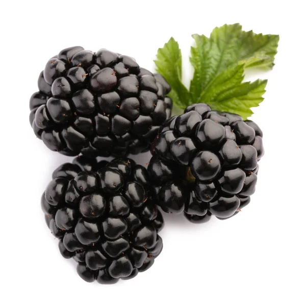 口感成熟的黑莓和叶子 白色背景 顶部视图 — 图库照片
