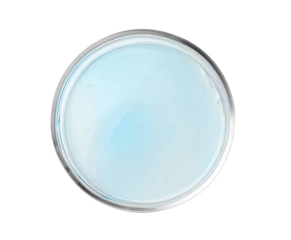 Açık Mavi Sıvılı Petri Kabı Beyaz Üzerine Izole Üst Görünüm — Stok fotoğraf