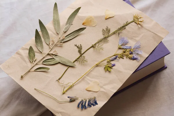 Hoja Papel Con Flores Secas Hojas Sobre Tela Blanca Primer —  Fotos de Stock