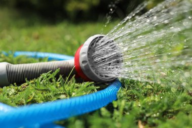 Water spraying from hose on green grass outdoors, closeup