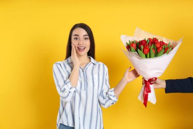 Mutlu kadın sarı arka plandaki adamdan kırmızı lale buketi alıyor. 8 Mart kutlamaları