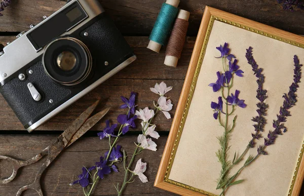 Flat Lay Composition Beautiful Dried Flowers Vintage Camera Photo Frame — Photo