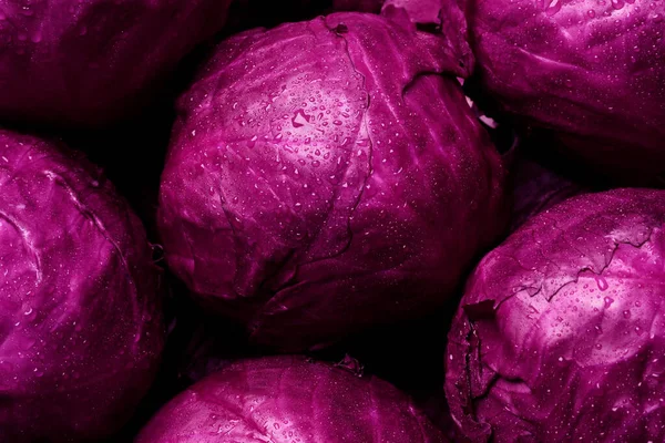 Many Fresh Ripe Red Cabbages Background — ストック写真