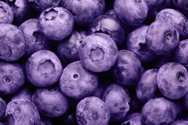 Tasty Fresh Ripe Blueberries Background Top View — Foto Stock