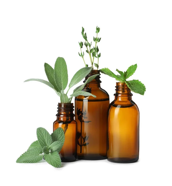 Bottle Essential Oil Fresh Herbs Isolated White — Stock Photo, Image