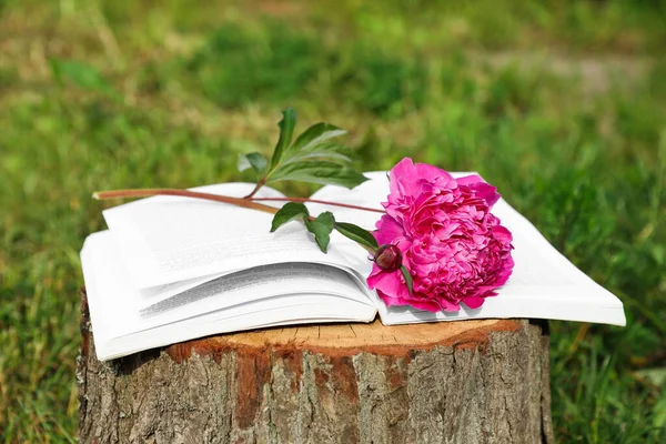 Open Book Beautiful Peony Tree Stump Outdoors — Stock Fotó