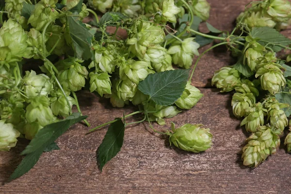 Fresh green hops with leaves on wooden table, closeup