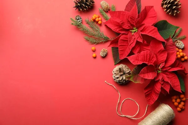 Composición Plana Con Poinsettias Flores Tradicionales Navidad Decoración Sobre Fondo — Foto de Stock