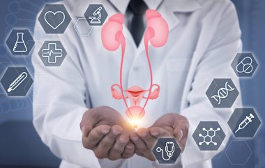 Doktor idrar sisteminin sanal görüntüsünü tutuyor ve farklı simgeler, yakın plan