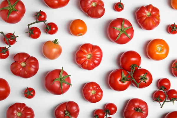 Many Different Ripe Tomatoes White Background Flat Lay — Fotografia de Stock