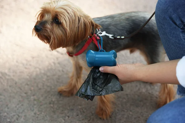 Woman Cute Dog Taking Waste Bag Holder Outdoors Closeup — Stock Photo, Image