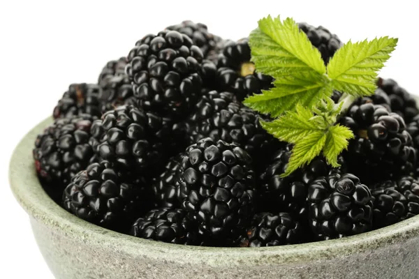 Bowl Fresh Ripe Blackberries Isolated White — Stockfoto