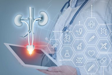Modern tableti tutan doktor, idrar sisteminin sanal görüntüsü ve ışık arkaplanda farklı simgeler, yakın plan