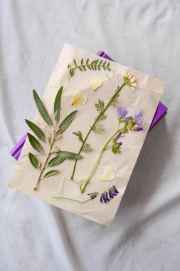 Sheet of paper with dried flowers and leaves on white fabric, top view