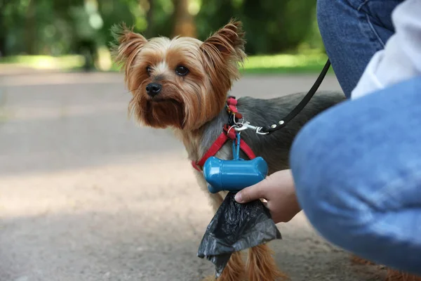 Woman with cute dog taking waste bag from holder in park, closeup