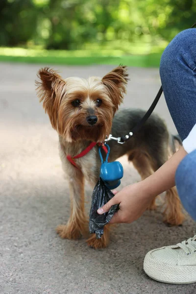 Woman Cute Dog Taking Waste Bag Holder Park Closeup — Stock Photo, Image