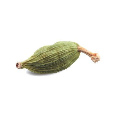 Dry green cardamom pod isolated on white