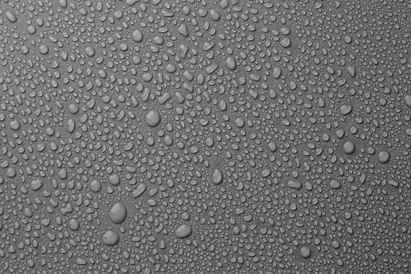 View Many Water Drops Grey Background — Zdjęcie stockowe